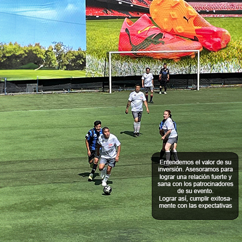 Slide 6